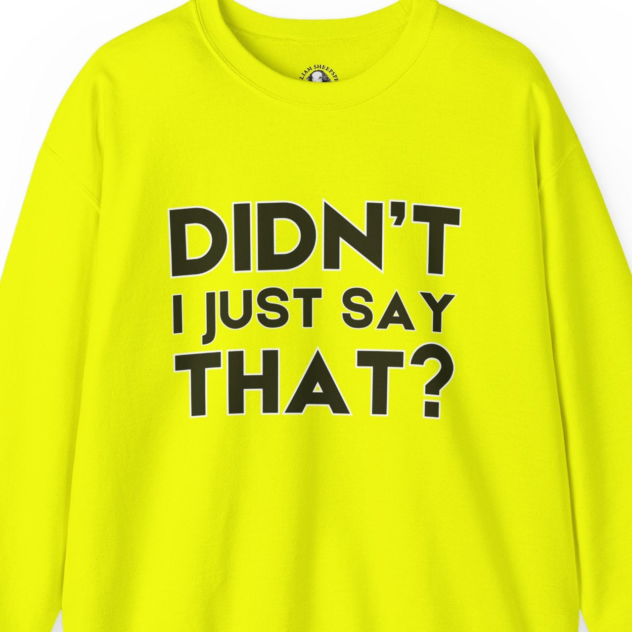 Funny Teacher Gift - Didn't I Just Say That? - Teachers' Whispered Words Sweatshirt, Funny Educator Gift, School Staff Apparel