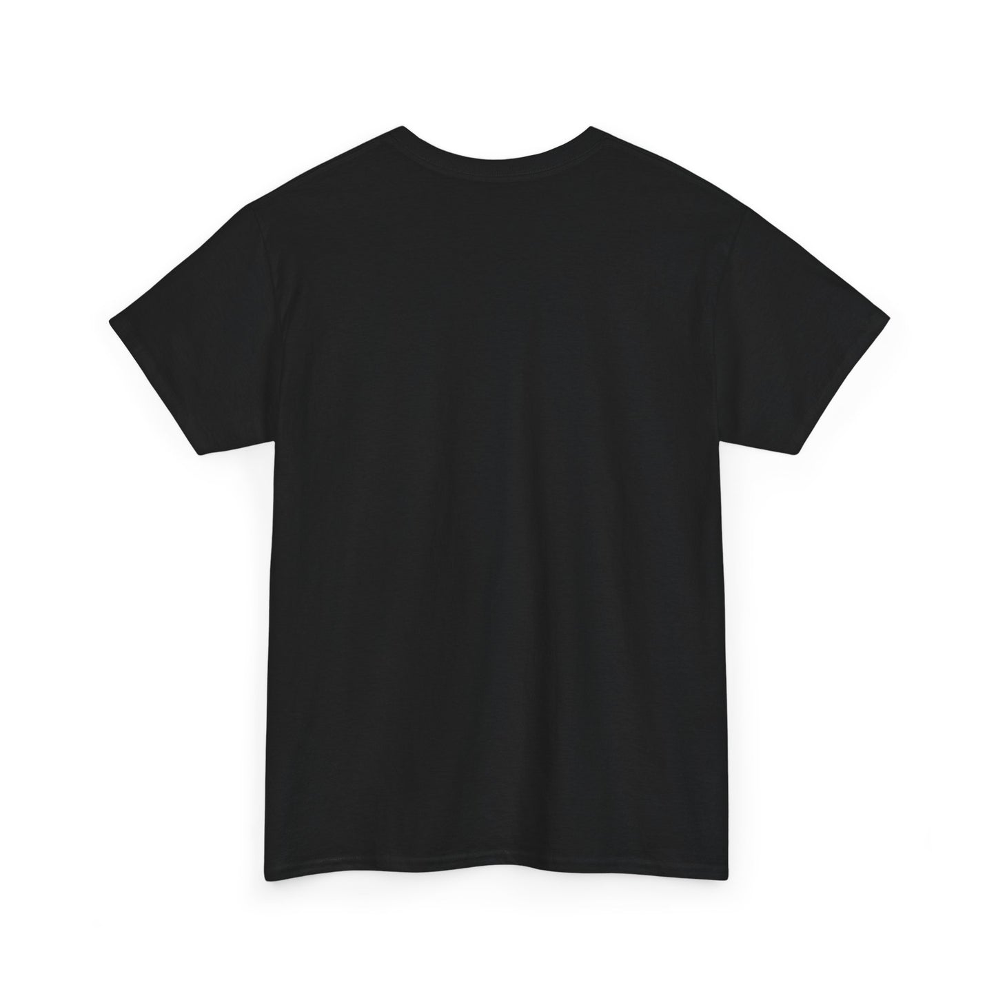 Aristotle Humor Tee - Teleology & Categorization Parody - Ancient Greek Philosophy for Nerdy Tidy People