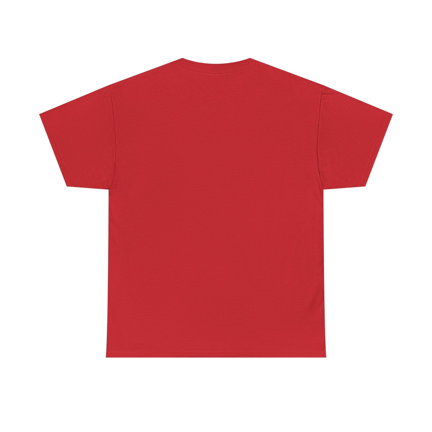 Aristotle Humor Tee - Teleology & Categorization Parody - Ancient Greek Philosophy for Nerdy Tidy People