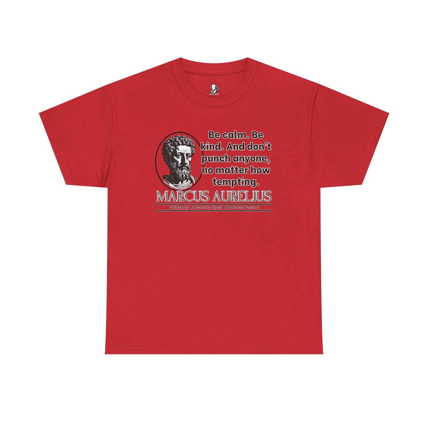 Marcus Aurelius Stoicism Shirt - Funny Ancient Roman Philosophy Tee - Be Kind, Dont Punch People - Calm Humor Apparel