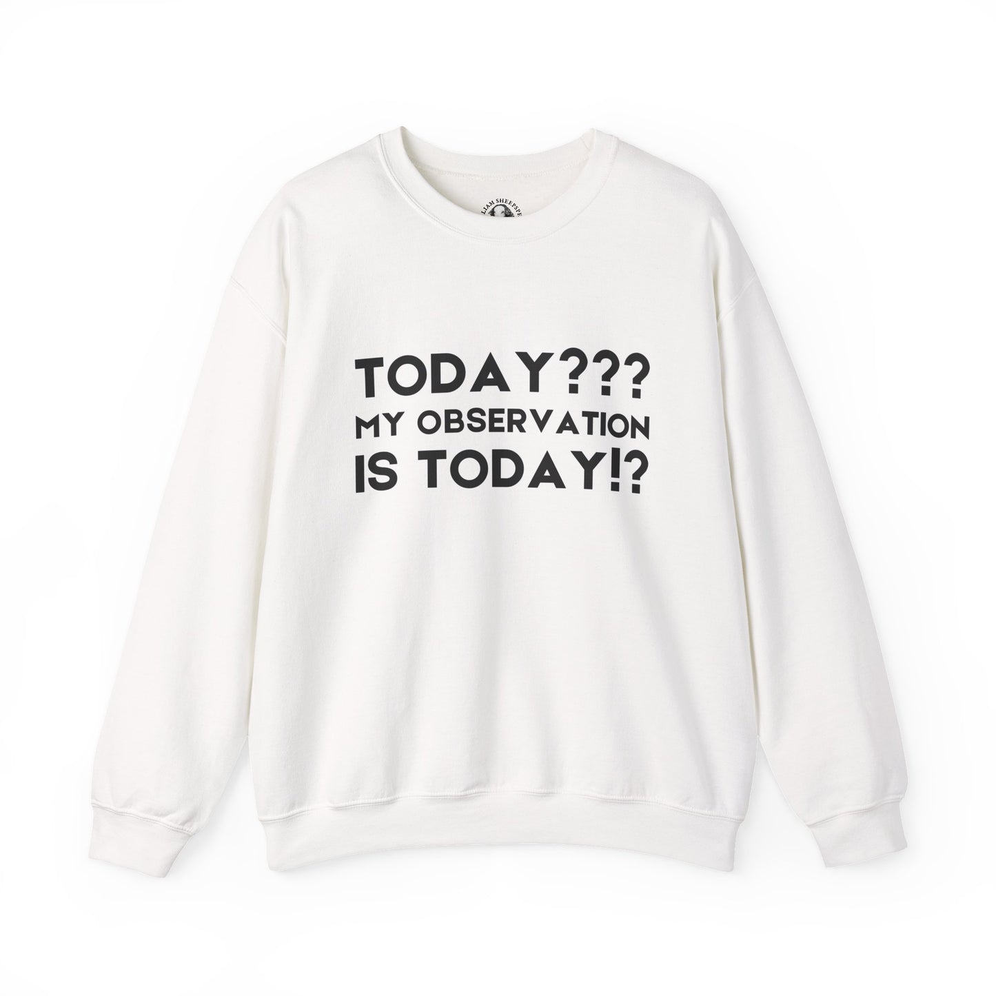 Teachers' Whispered Words Sweatshirt, Funny Educator Gift, School Staff Apparel, Educational Humor Jumper, Instructor Saying Crewneck,