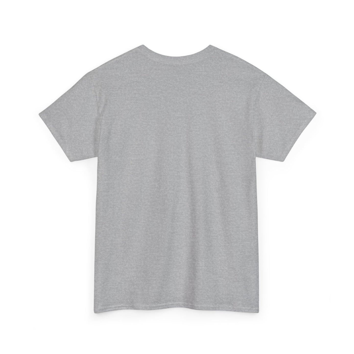 Aristotle Humor Tee - Teleology & Categorization Parody - Ancient Greek Philosophy for Nerdy Tidy People