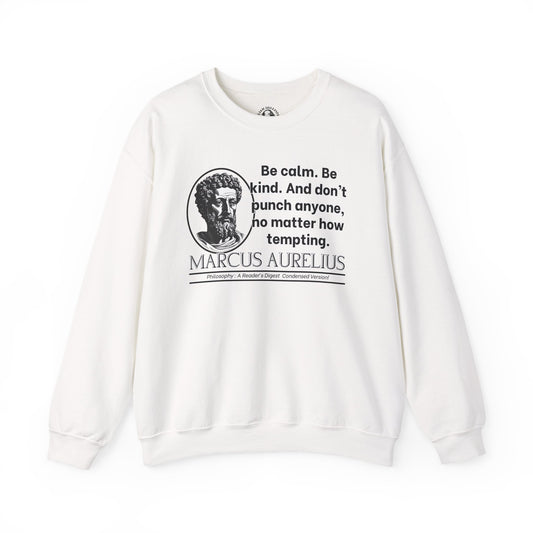Marcus Aurelius Stoicism Shirt - Funny Ancient Roman Philosophy Sweatshirt - Be Kind, Dont Punch People - Calm Humor Apparel