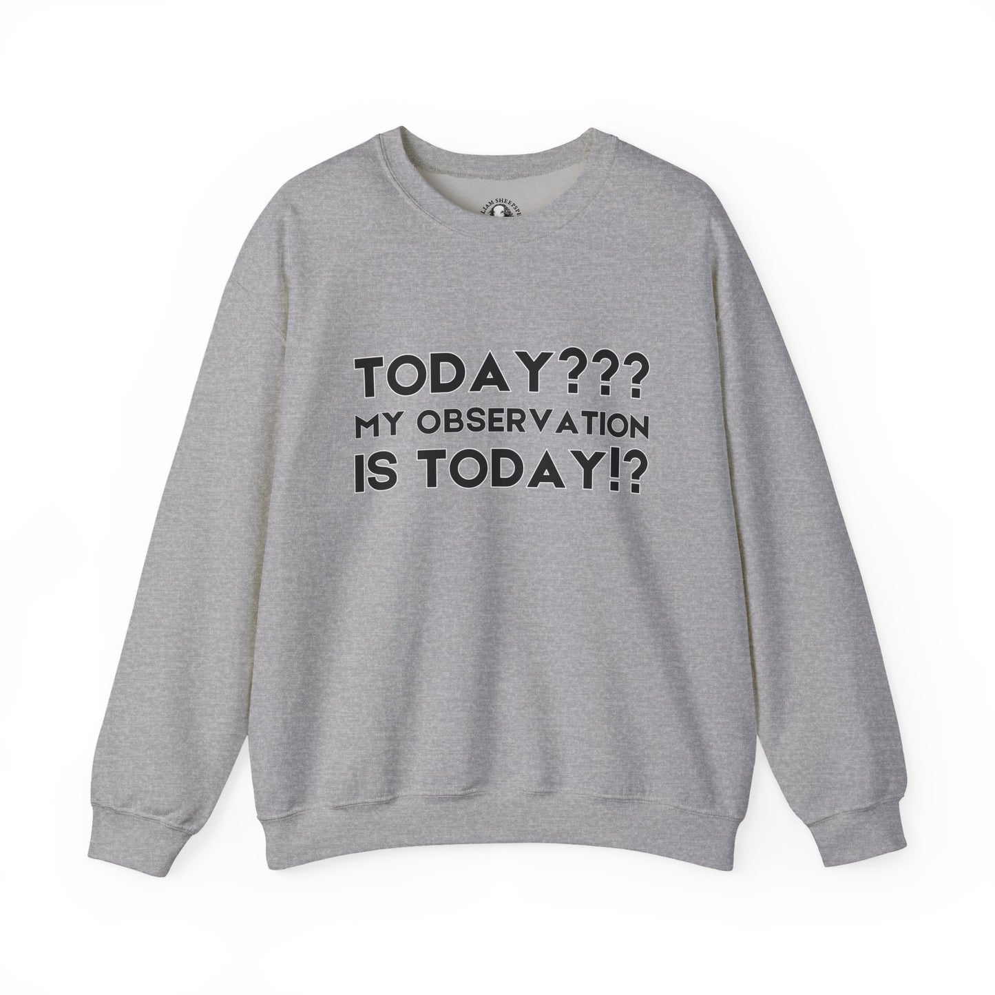 Teachers' Whispered Words Sweatshirt, Funny Educator Gift, School Staff Apparel, Educational Humor Jumper, Instructor Saying Crewneck,