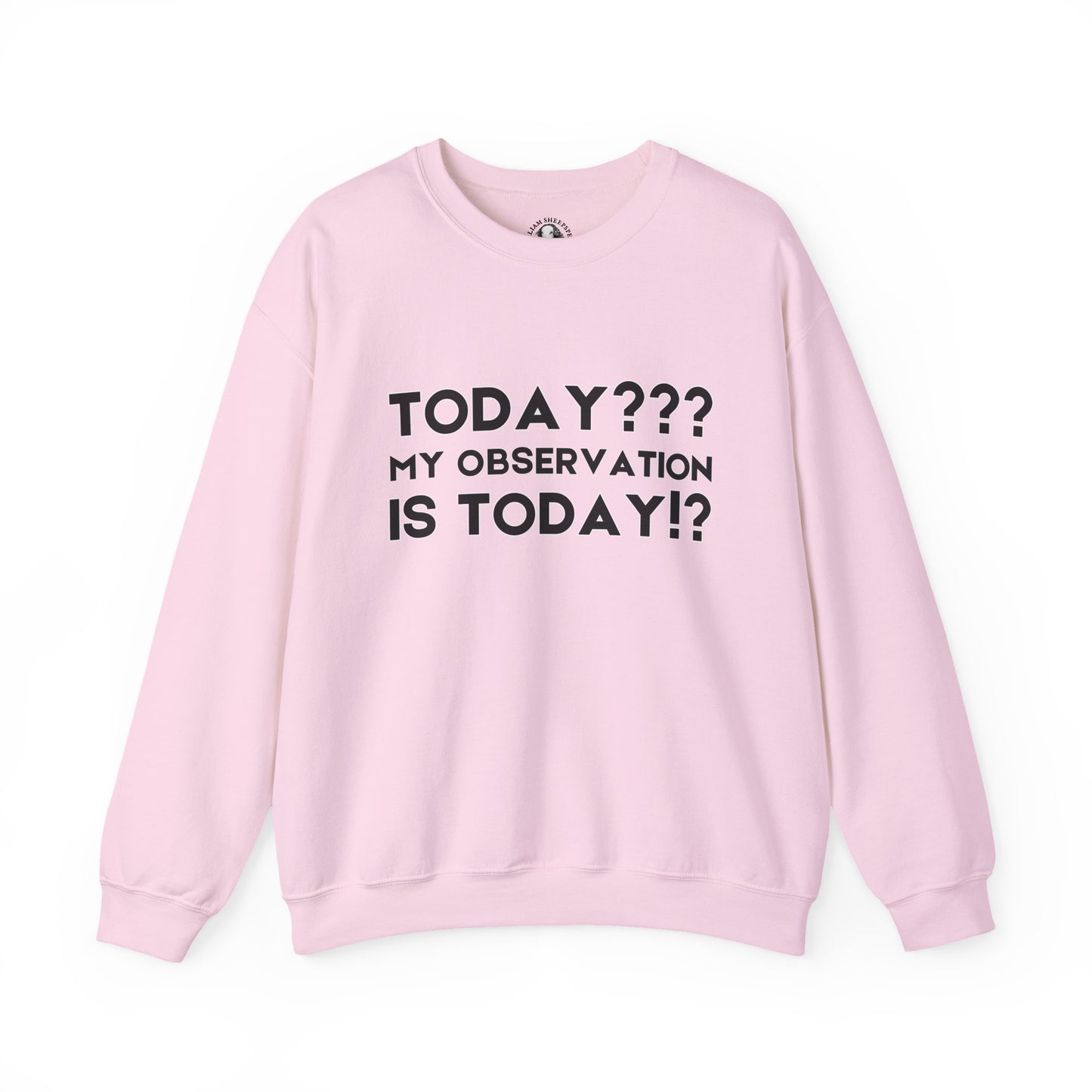 Teachers' Whispered Words Sweatshirt, Funny Educator Gift, School Staff Apparel, Educational Humor Jumper, Instructor Saying Crewneck,
