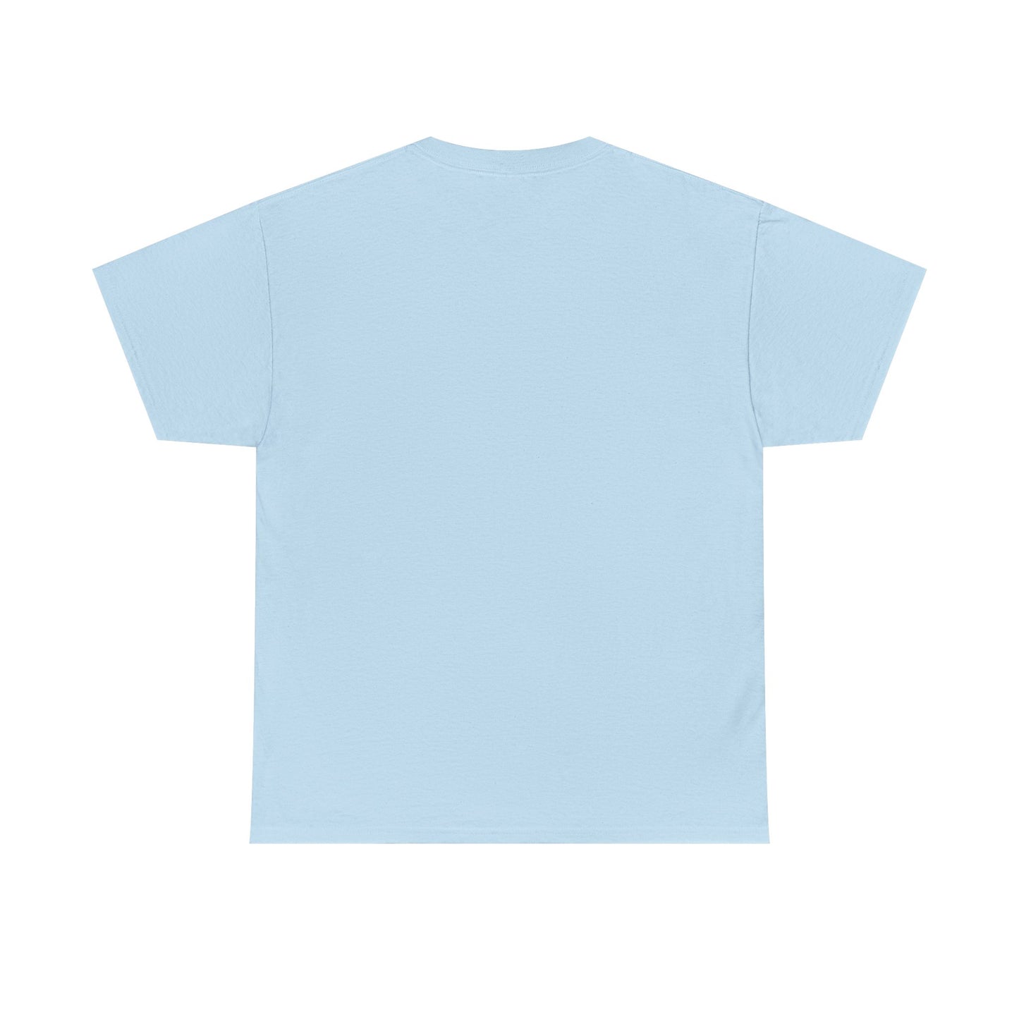 Aristotle Humor Tee - Teleology & Categorization Parody - Ancient Greek Philosophy for Nerdy Tidy People