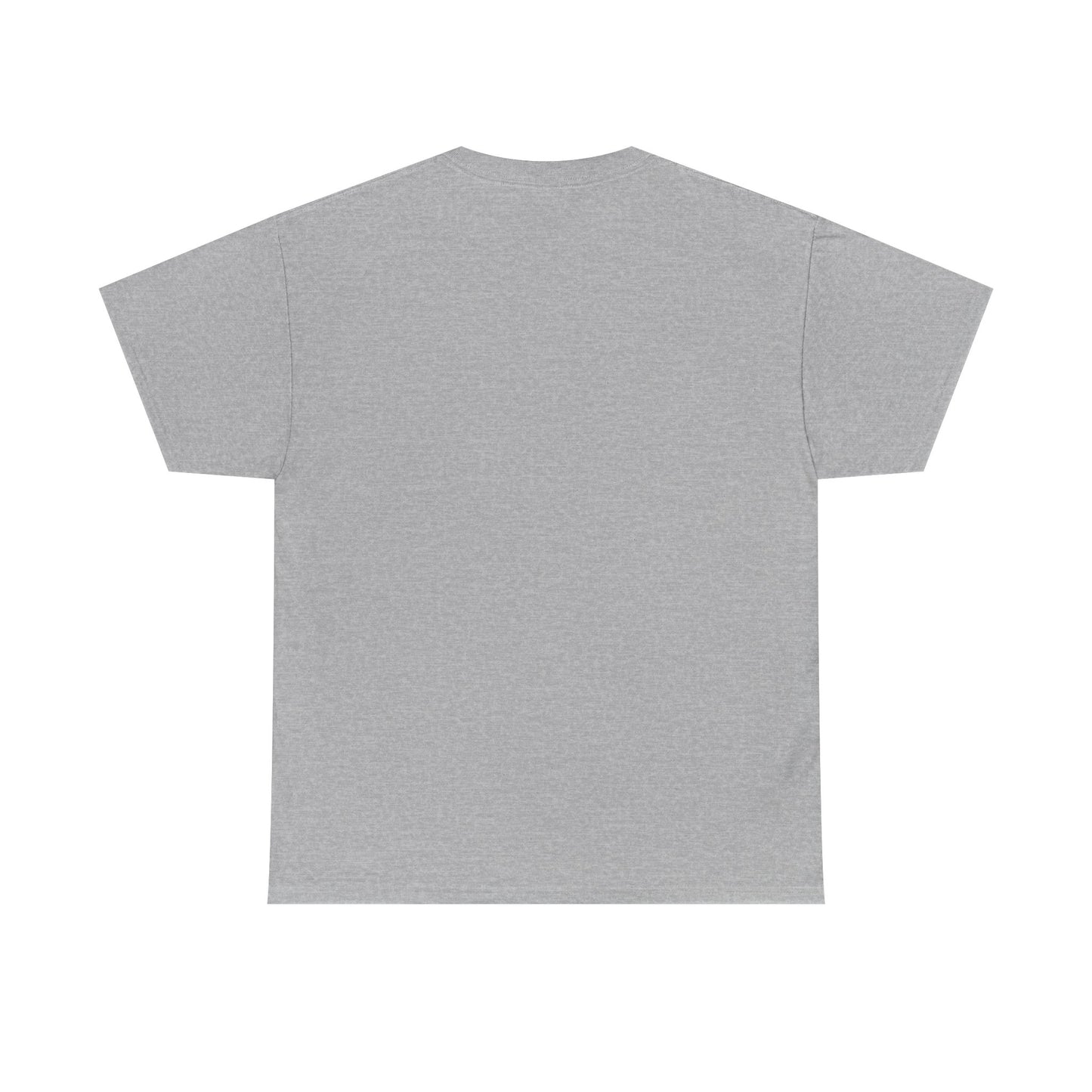 Aristotle Humor Tee - Teleology & Categorization Parody - Ancient Greek Philosophy for Nerdy Tidy People