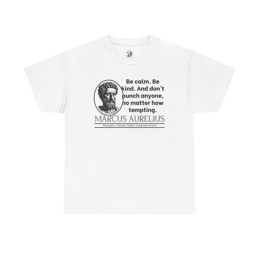 Marcus Aurelius Stoicism Shirt - Funny Ancient Roman Philosophy Tee - Be Kind, Dont Punch People - Calm Humor Apparel