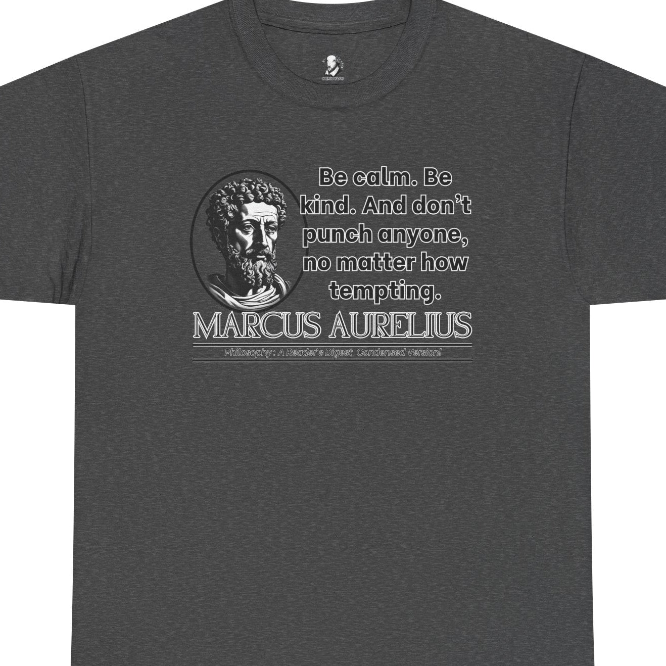 Marcus Aurelius Stoicism Shirt - Funny Ancient Roman Philosophy Tee - Be Kind, Dont Punch People - Calm Humor Apparel
