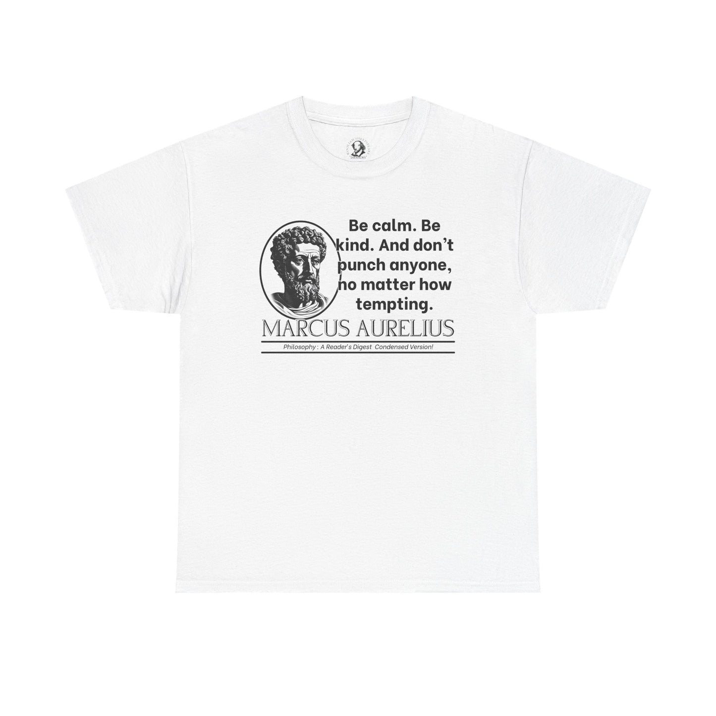 Marcus Aurelius Stoicism Shirt - Funny Ancient Roman Philosophy Tee - Be Kind, Dont Punch People - Calm Humor Apparel