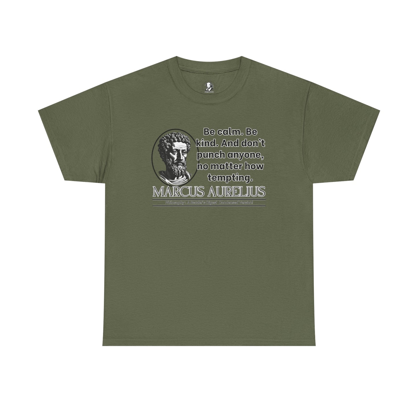 Marcus Aurelius Stoicism Shirt - Funny Ancient Roman Philosophy Tee - Be Kind, Dont Punch People - Calm Humor Apparel