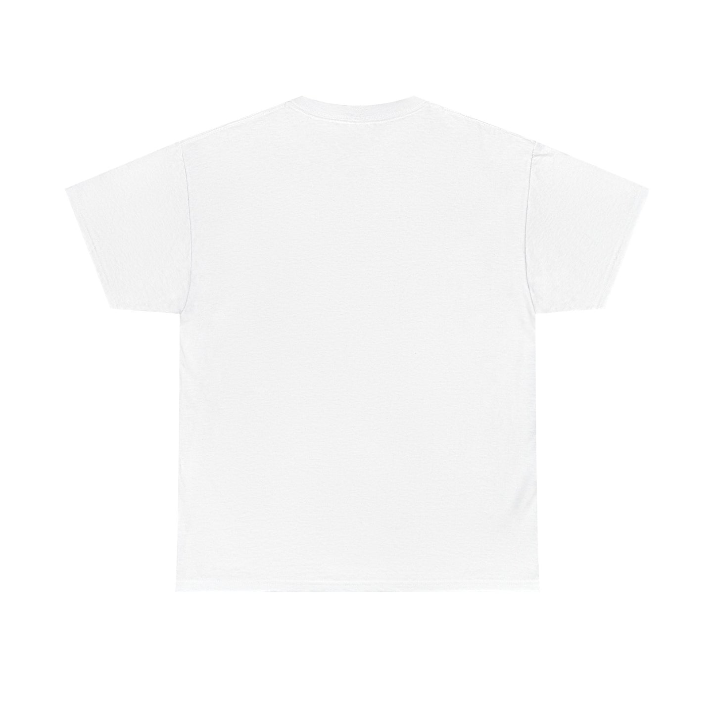 Aristotle Humor Tee - Teleology & Categorization Parody - Ancient Greek Philosophy for Nerdy Tidy People