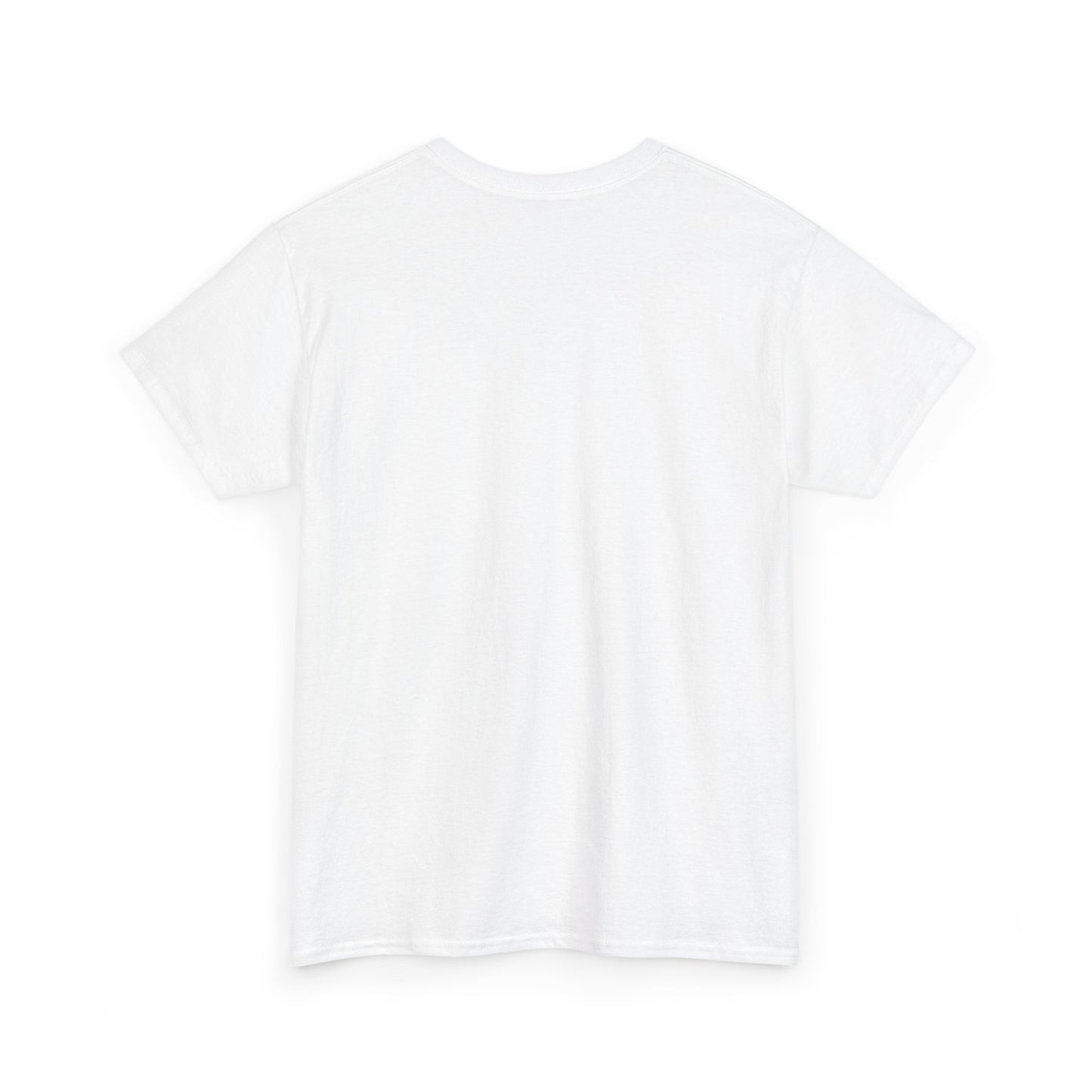 Aristotle Humor Tee - Teleology & Categorization Parody - Ancient Greek Philosophy for Nerdy Tidy People