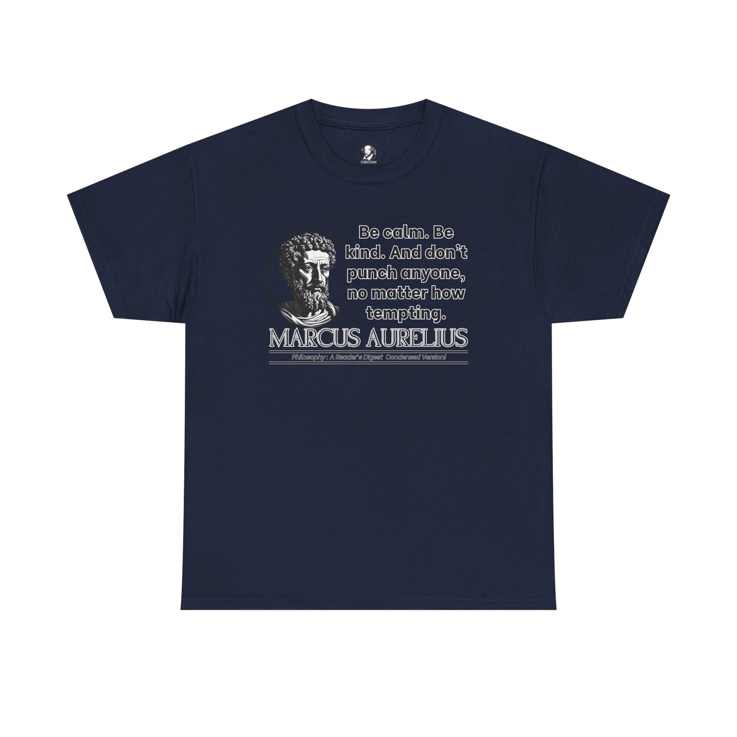 Marcus Aurelius Stoicism Shirt - Funny Ancient Roman Philosophy Tee - Be Kind, Dont Punch People - Calm Humor Apparel