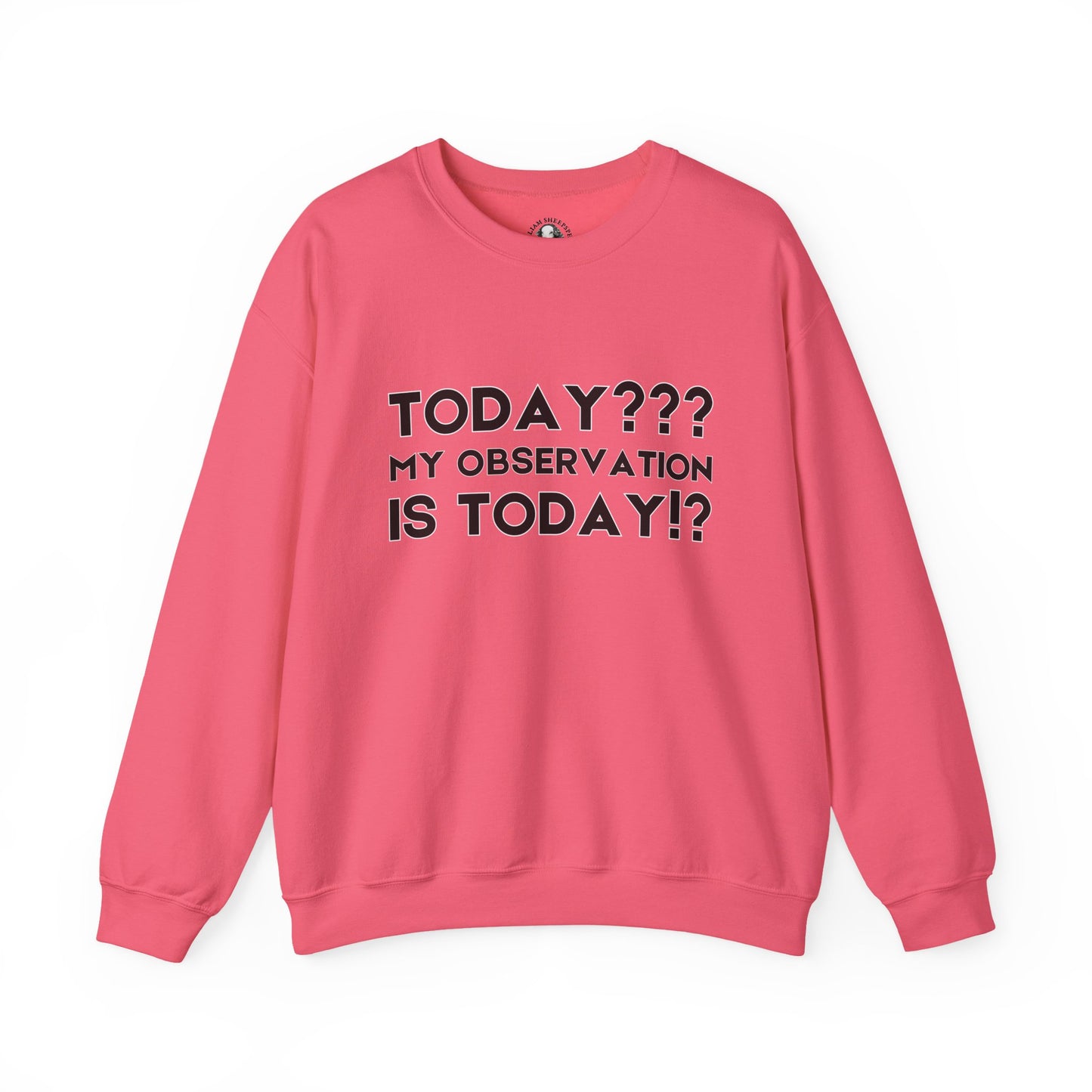Teachers' Whispered Words Sweatshirt, Funny Educator Gift, School Staff Apparel, Educational Humor Jumper, Instructor Saying Crewneck,