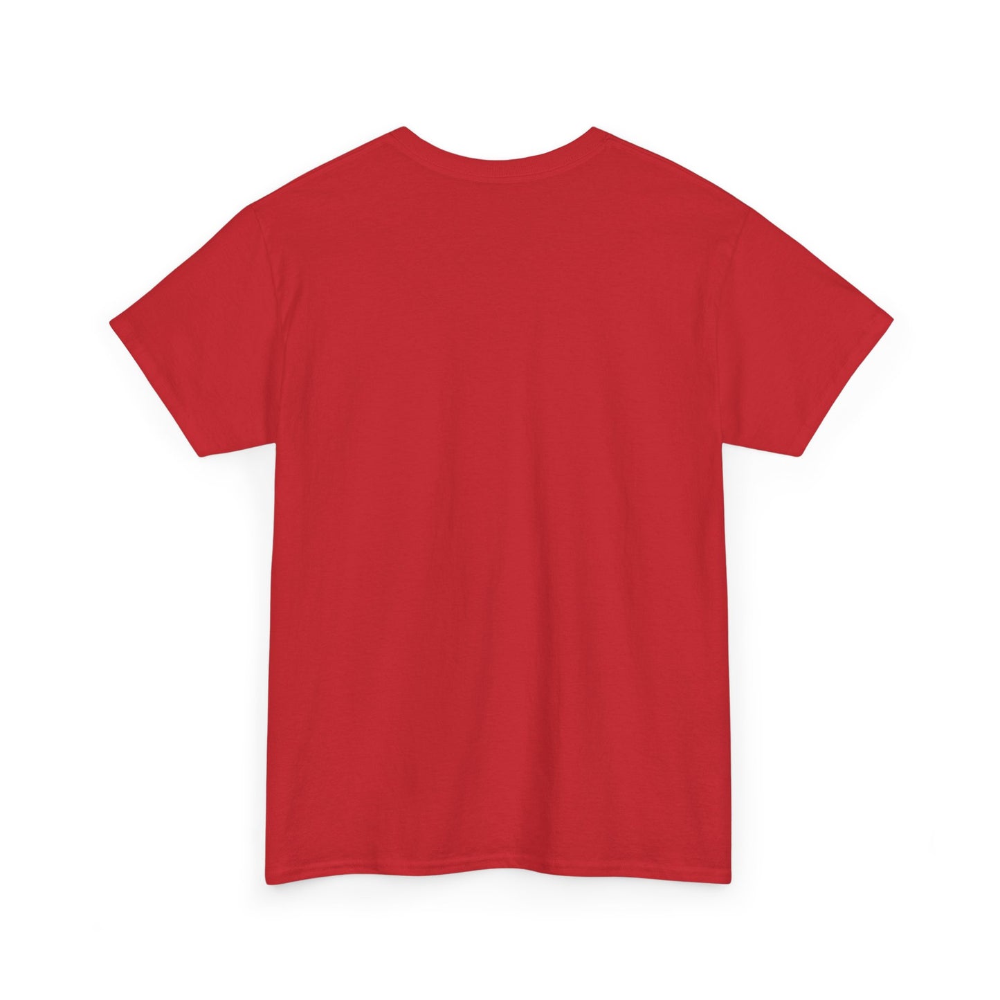 Aristotle Humor Tee - Teleology & Categorization Parody - Ancient Greek Philosophy for Nerdy Tidy People