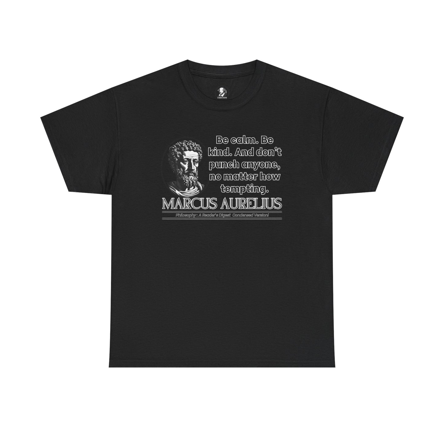 Marcus Aurelius Stoicism Shirt - Funny Ancient Roman Philosophy Tee - Be Kind, Dont Punch People - Calm Humor Apparel