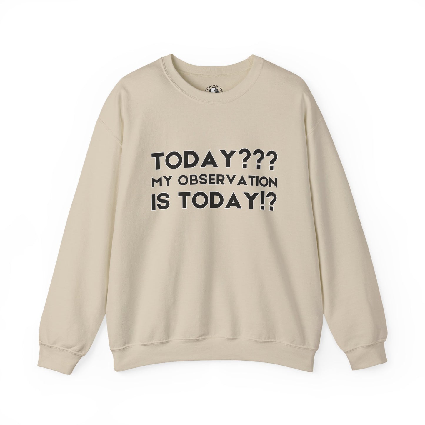 Teachers' Whispered Words Sweatshirt, Funny Educator Gift, School Staff Apparel, Educational Humor Jumper, Instructor Saying Crewneck,