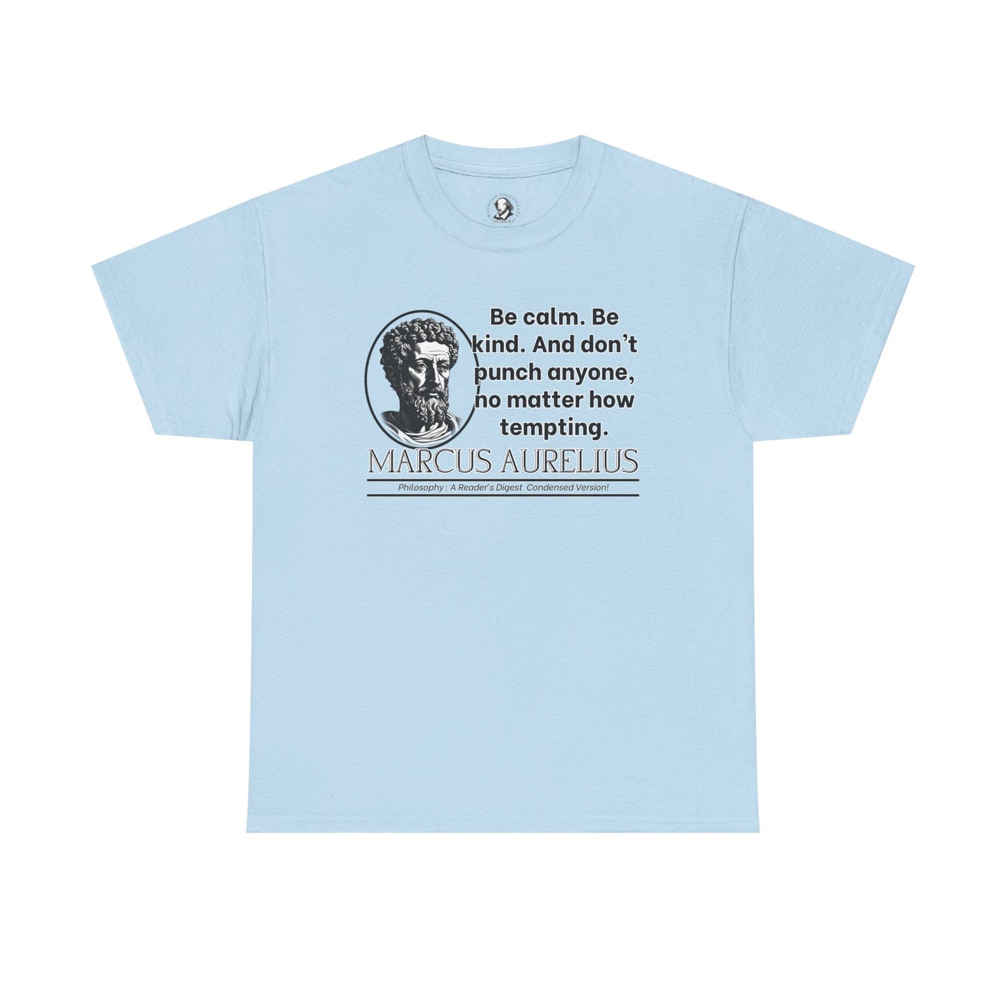 Marcus Aurelius Stoicism Shirt - Funny Ancient Roman Philosophy Tee - Be Kind, Dont Punch People - Calm Humor Apparel