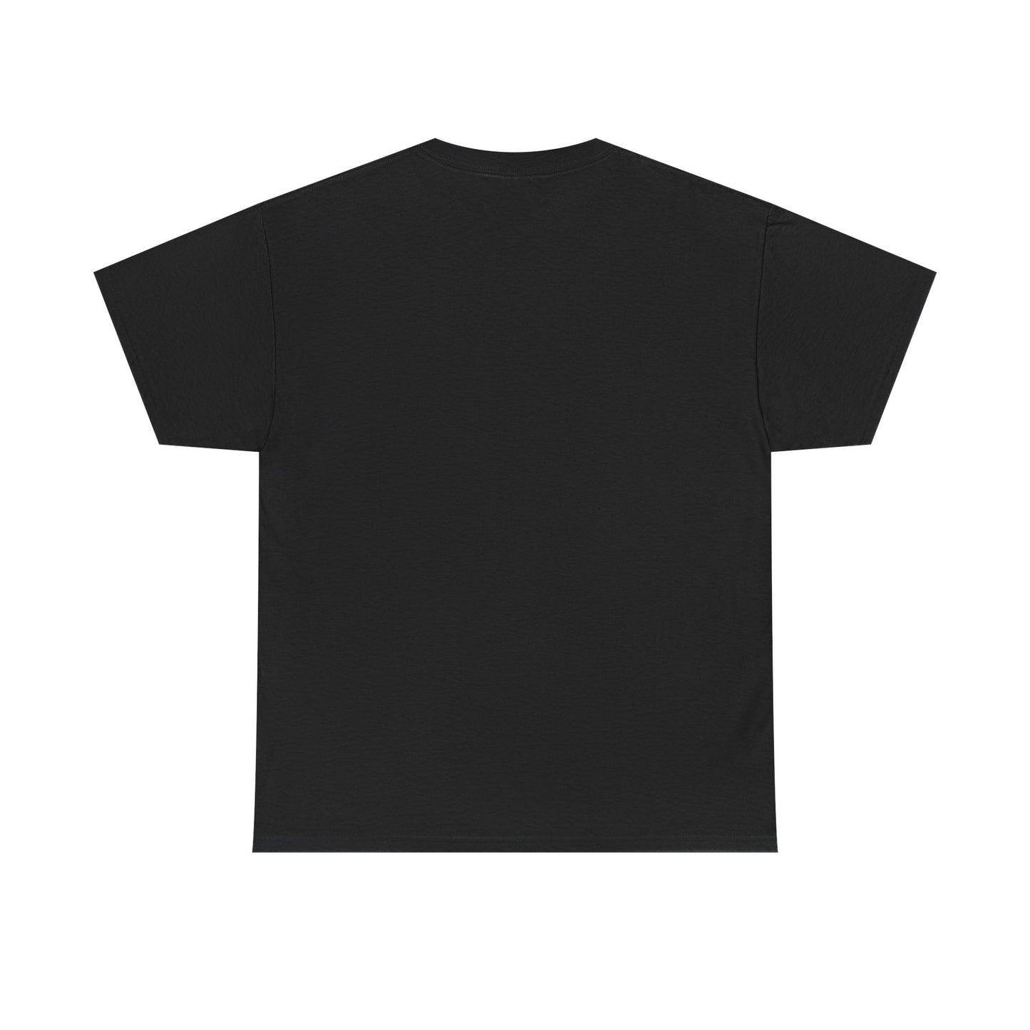 Aristotle Humor Tee - Teleology & Categorization Parody - Ancient Greek Philosophy for Nerdy Tidy People