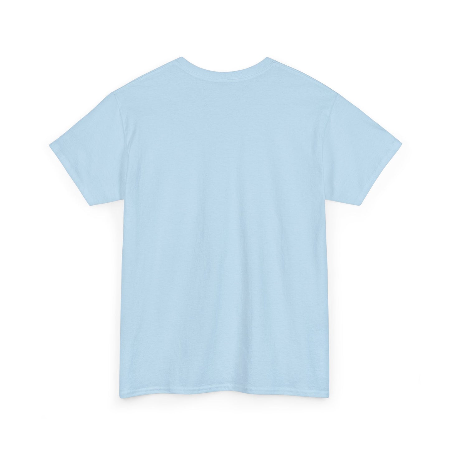 Aristotle Humor Tee - Teleology & Categorization Parody - Ancient Greek Philosophy for Nerdy Tidy People