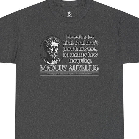 Marcus Aurelius Stoicism Shirt - Funny Ancient Roman Philosophy Tee - Be Kind, Dont Punch People - Calm Humor Apparel